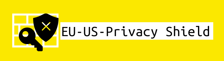 Data security in digital commerce