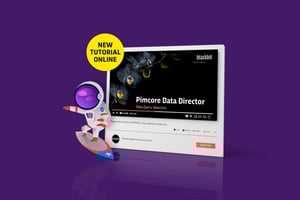 Blackbits Data Director ist in Version 2.5.0. erschienen