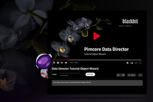 Das neue Data Director Tutorial ist live: In der detaillierten Anleitung präsentieren wir die Funktionen des Object Wizards.