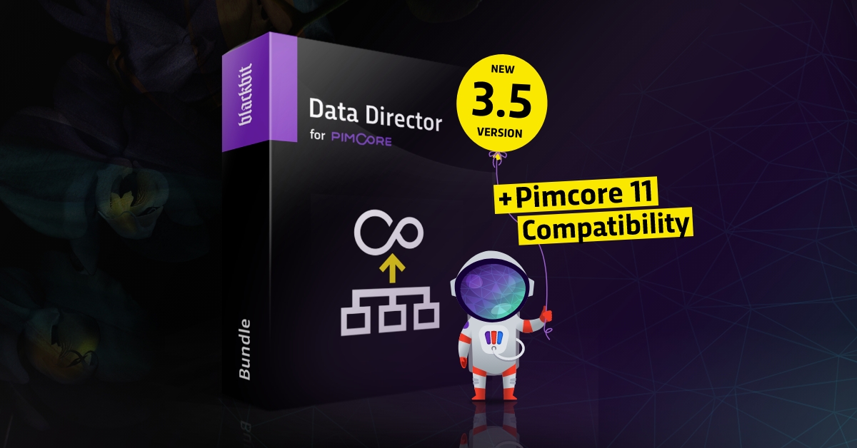 Blackbit Data Director for Pimcore
