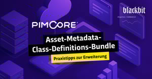 Erweiterung für Asset-Metadata-Class-Definitions-Bundle