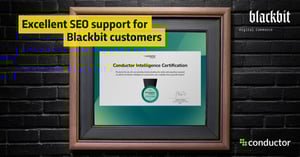 Сертифікація провідника: відмінна SEO-підтримка для клієнтів Blackbit