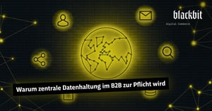 Die Grafik zeigt ein vernetztes Globus-Symbol, das die Bedeutung zentraler Datenhaltung im B2B-Bereich hervorhebt.