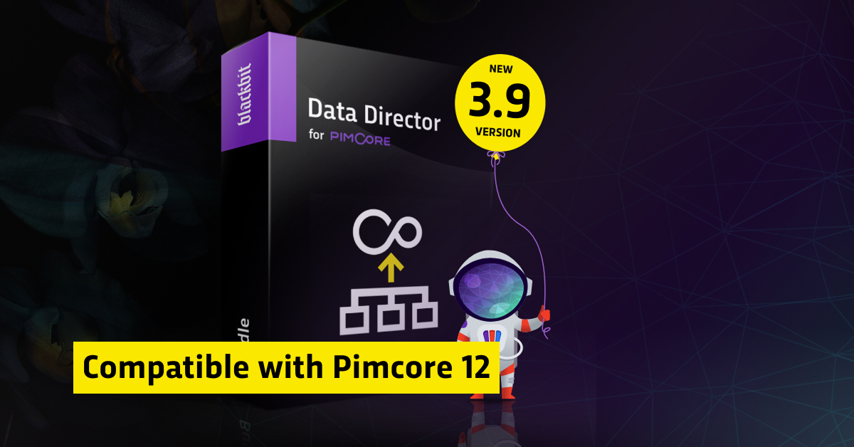 With version 3.9, Blackbit takes the Data Director to a new level!