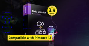With version 3.9, Blackbit takes the Data Director to a new level!