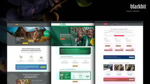 Three EWE web pages arranged side by side, each featuring offers for solar systems, electricity, and internet plans, complete with text, images, and pricing information