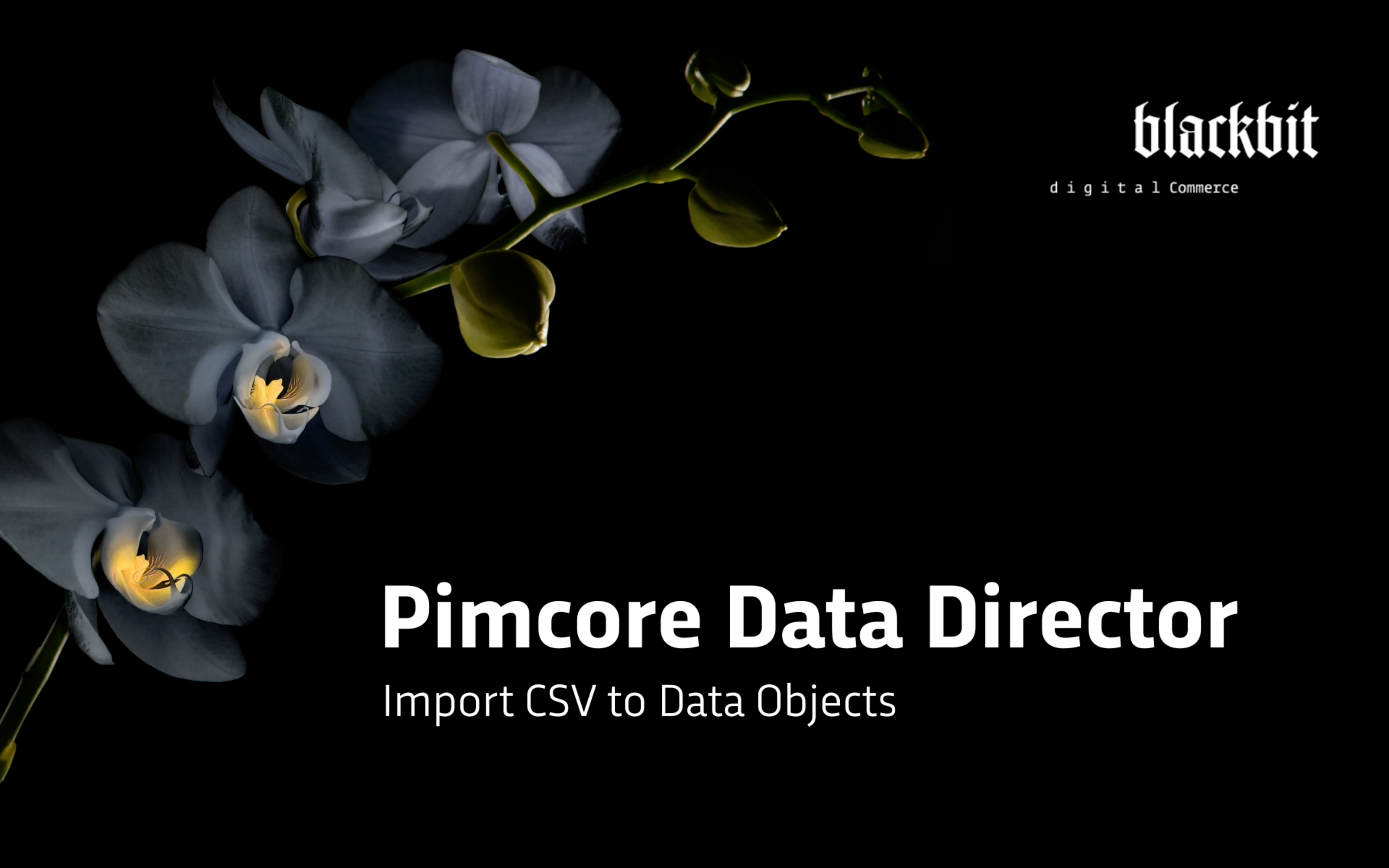Blackbit Data Director для Pimcore - імпорт CSV в об'єкти даних електронної комерції