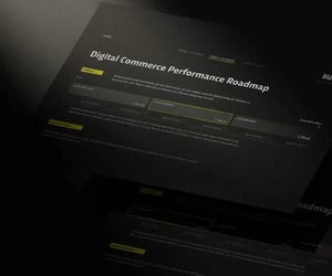 Blackbit-Digital-Commerce-Performance-Roadmap_2_1200x1000