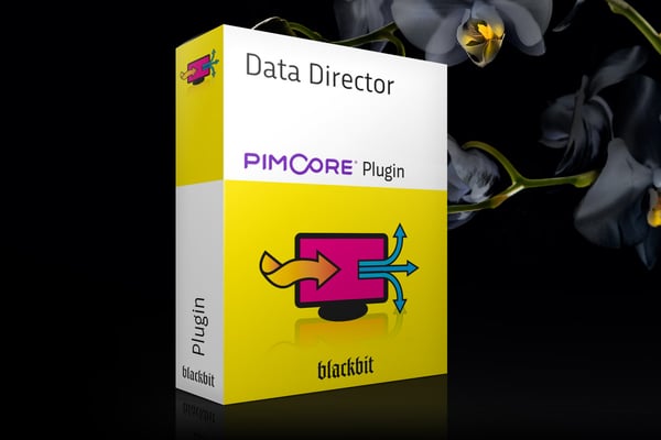 Blackbits Data Director ist in Version 2.5.0. erschienen