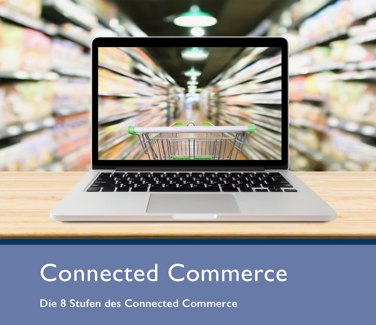 BVDW Connected Commerce Guide