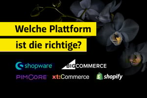 E-Commerce Software-Vergleich: Wie finde ich das richtige Shopsystem?