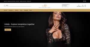 B2B Onlineshop auf Basis von BigCommerce