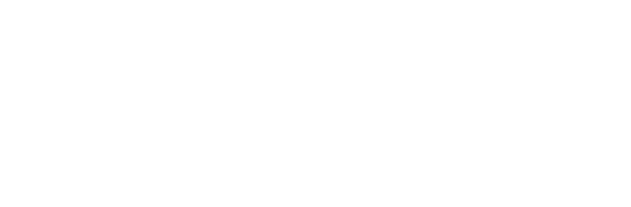 ass-300