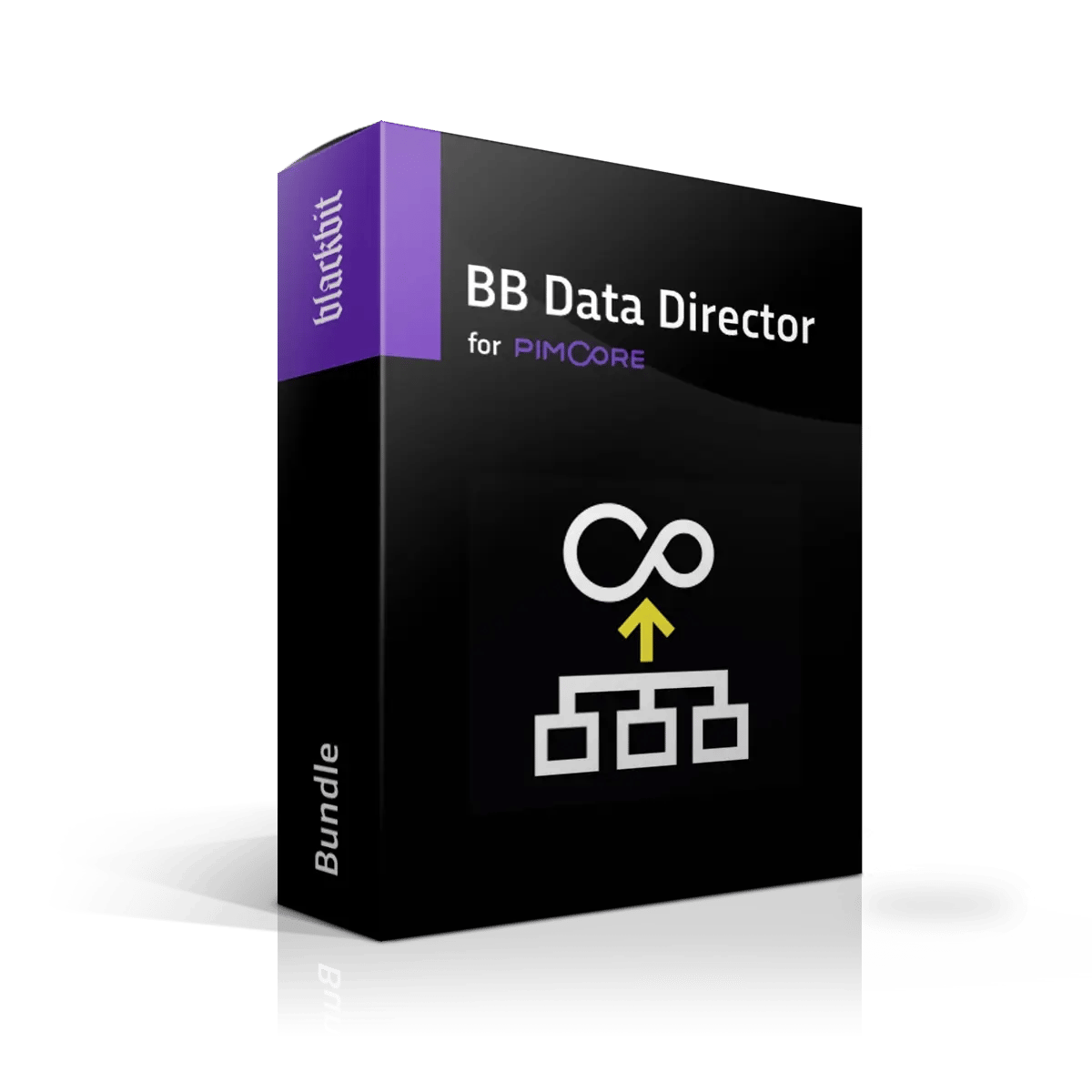 bb-data director