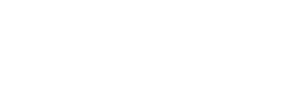 eni-300