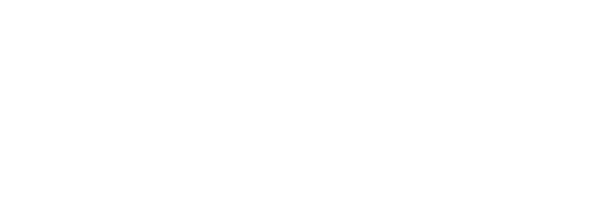 fidlock-300