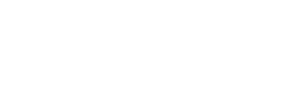 obi-300