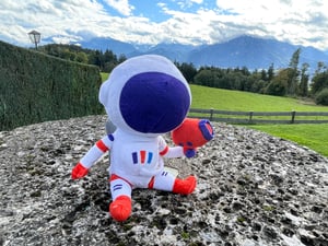 Pimcore Mountain Summit