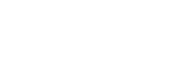 viani-300