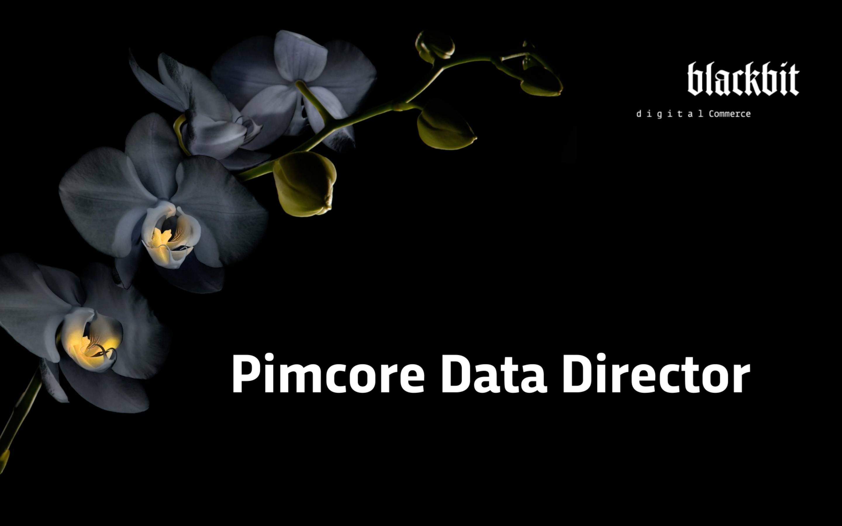 Blackbit Data Director for Pimcore