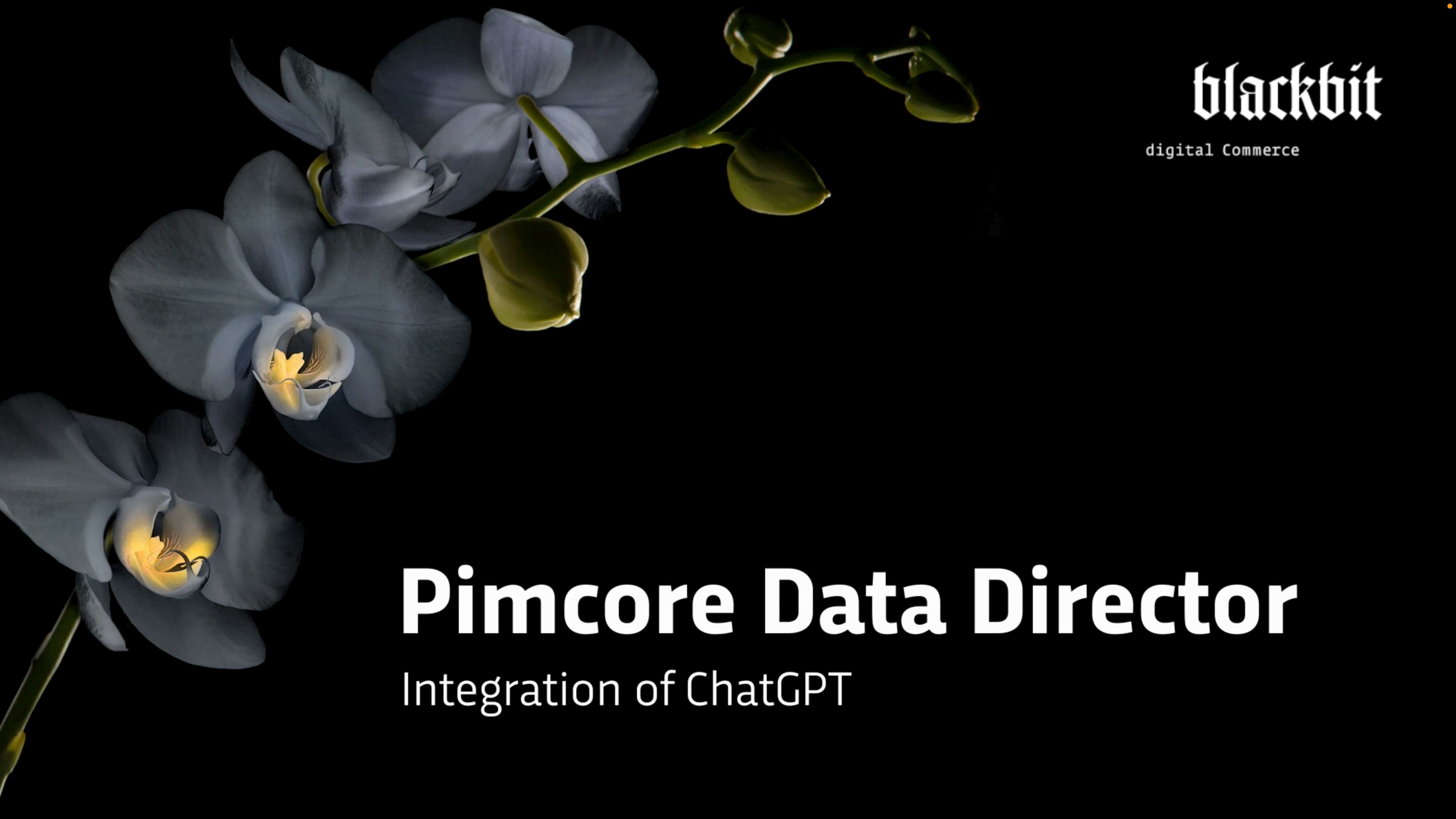 Pimecore Data Director - Integration of ChatGPT